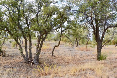 TBD N Viento Dr unit Lot  4, Oracle, AZ 85623 - photo 2