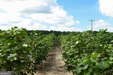 0 Twin Forks Rd unit TRACT 2 10586435, Statesboro, GA 30458 - photo 4