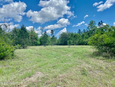 1 Basin Refuge Rd, Lucedale, MS 39452 - photo 2