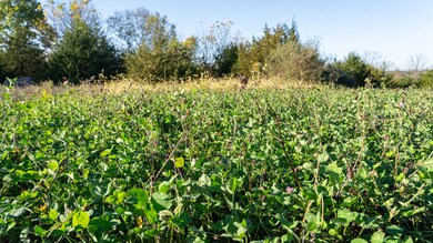 0 Virginia St unit 25341718, New Virginia, IA 50210 - photo 5