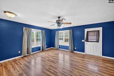 212 Rawls Mill Pond Rd, Wagener, SC 29164 - photo 4