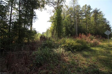 00000 Iron Mountain Rd, Asheboro, NC 27205 - photo 3