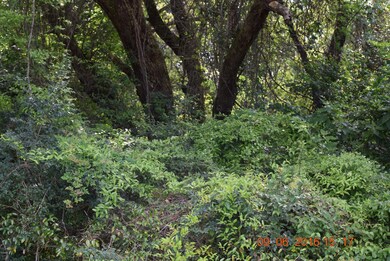 Masterson Rd. (3 Acres) 2