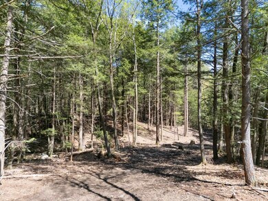 0 Old Ledge Rd unit 4950217, Westminster, VT 05346 - photo 3