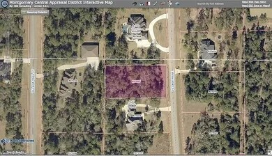 29323 Village Ridge Ct, Magnolia, TX 77355 - photo 2