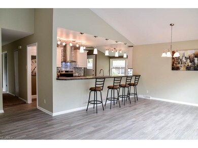 Open living room, dining room and kitchen with a v