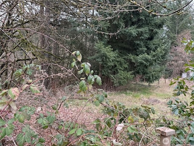 32534 44th Ave S, Federal Way, WA 98001 - photo 7