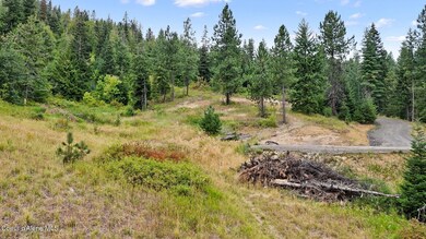 Potential Building Site