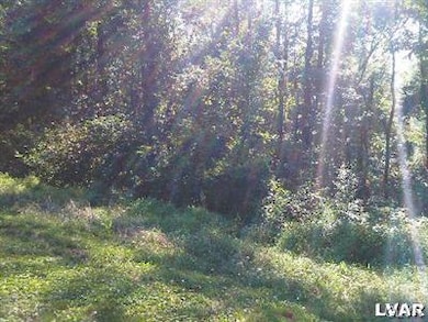 5690 Saucon Ridge Rd unit lot 9, Coopersburg, PA 18036 - photo 7