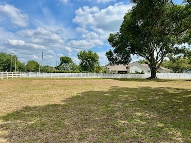 17127 Brown Rd, Odessa, FL 33556 - photo 5