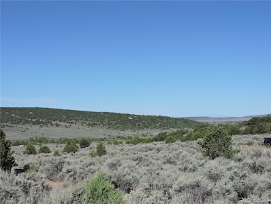 Lot 7563 Dolder Rd unit 7563, Fort Garland, CO 81133 - photo 4