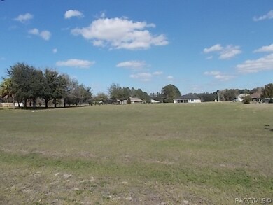 813 E Bismark St, Hernando, FL 34442 - photo 3