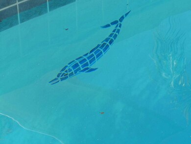 DOLPHINS