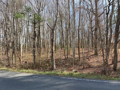 Lot 5 Ivanhoe Rd, Foster Falls, VA 24360 - photo 2
