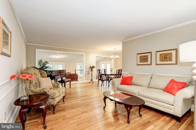 4513 Morgal St, Rockville, MD 20853 - photo 4