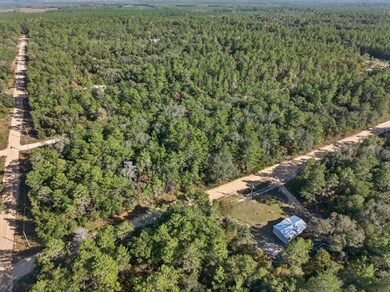 Aerial view of property's location with a forest