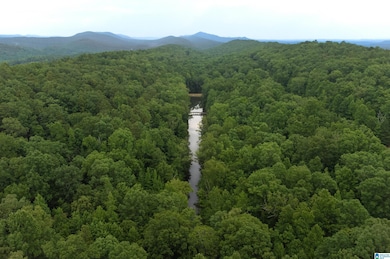 3095 Oakridge Way unit 61, Chelsea, AL 35043 - photo 5