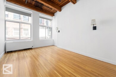 Gramercy Park Habitat unit 2AB, New York, NY 10010 - photo 4