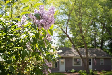 42 Highland Ave, Ogunquit, ME 03907 - photo 2
