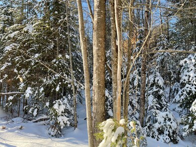 IMG_3067