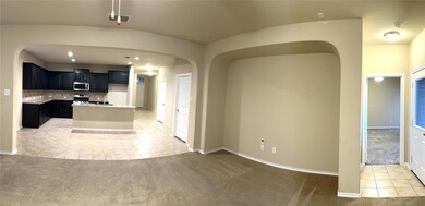 321 Lemon Mint Ln, Denton, TX 76210 - photo 5