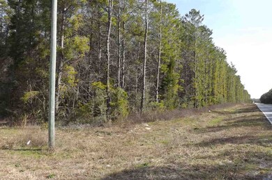 0 Seameadows Dr unit 290583, Perry, FL 32348 - photo 3
