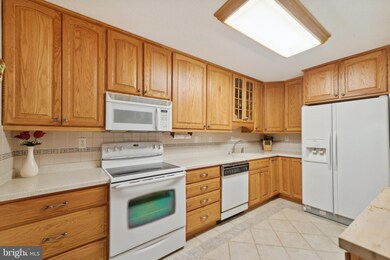 203 Yoakum Pkwy unit 507, Alexandria, VA 22304 - photo 5