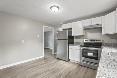 47 Blodgett St unit 49, Springfield, MA 01108 - photo 5