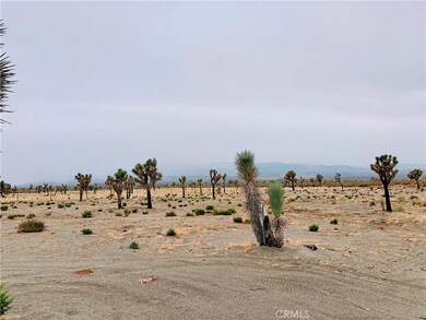 12452 Golden View Rd, Piñon Hills, CA 92372 - photo 7