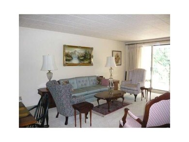 Living Room. The living room is carpeted and brigh