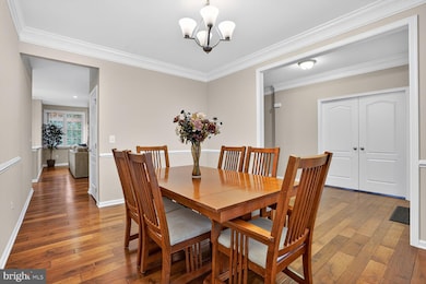 41381 Ladybug Ct, Aldie, VA 20105 - photo 7