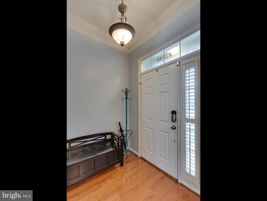 42840 Cedar Hedge St, Chantilly, VA 20152 - photo 2