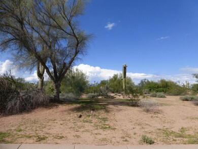 19054 E TONTO VERDE DR