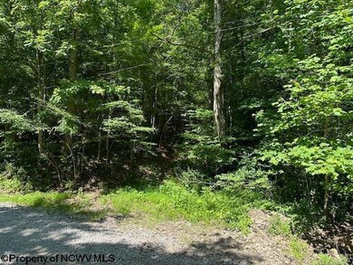 326 Joes Run Rd, Mannington, WV 26582 - photo 6