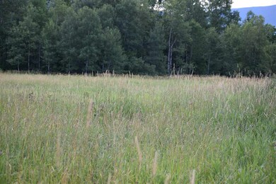 1 Rae Rd, Northumberland, NH 03582 - photo 4