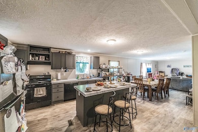 852 Boles Rd, Hazel Green, AL 35750 - photo 4