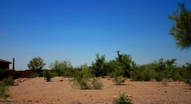 Ponderosa 77