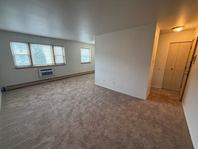 3001 N Thatcher Ave unit 2D, River Grove, IL 60171 - photo 3
