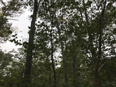 4210/4211 Serenity Ln, Nixa, MO 65714 - photo 6