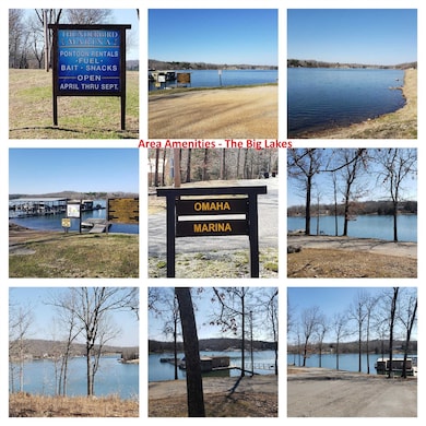 20 Lots in Cherokee Village, Cherokee Village, AR 72529 - photo 3