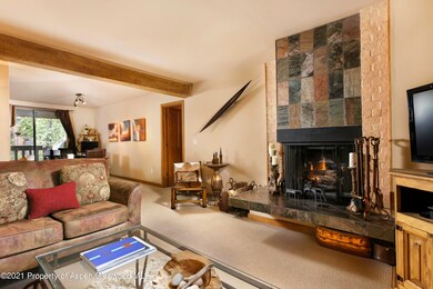 1028 E Hopkins Ave unit 24, Aspen, CO 81611 - photo 2