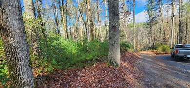 3 LOTS Ridgecrest Dr, Blue Ridge, GA 30513 - photo 6