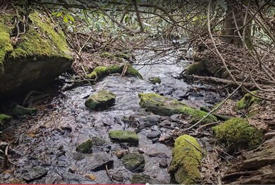 0 Falls Rd unit 1000715, Scaly Mountain, NC 28775 - photo 6