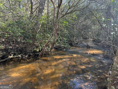 0 Mt Sinai Church Rd unit 10555546, Butler, GA 31006 - photo 3