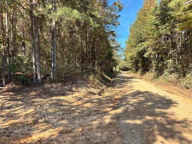 00 Griffin Rd, Shuqualak, MS 39361 - photo 4