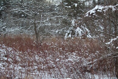 15 Mary Elizabeth Ln unit 15, Lancaster, NH 03584 - photo 5