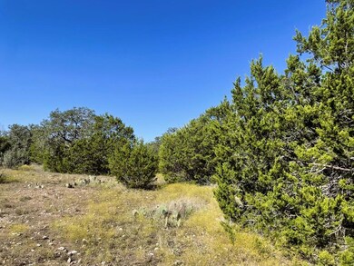 View of undeveloped land