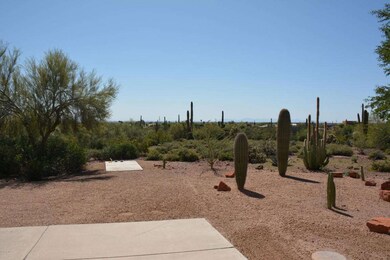 Saguaro.JPG