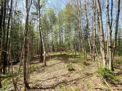 538 Oregon Rd, Concord, VT 05824 - photo 6