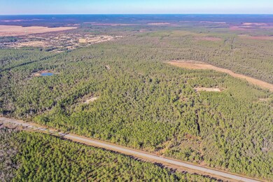 small_Hwy 20 Freeport near Windswept _16